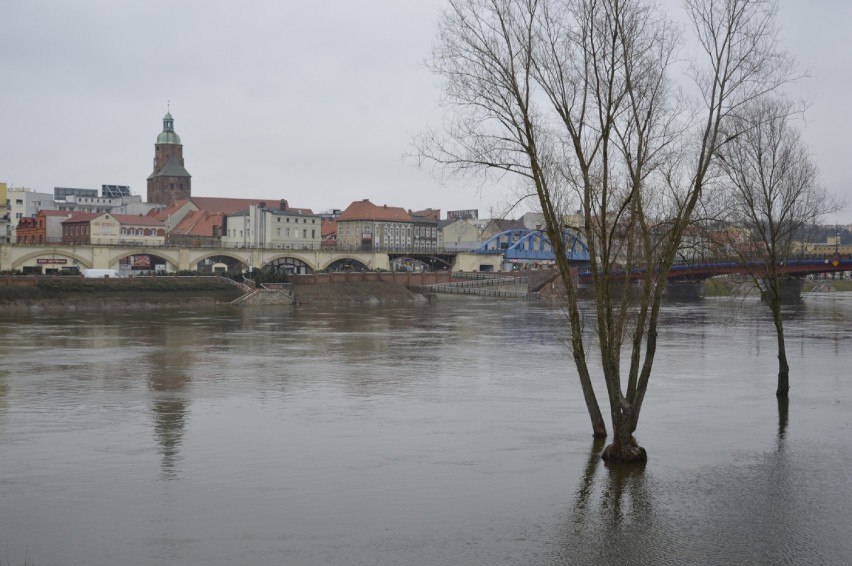 Warta w Gorzowie zalała dolną część bulwaru. Rzeka cały czas...
