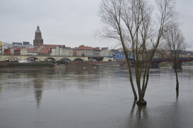 Warta w Gorzowie zalała dolną część bulwaru. Rzeka cały czas wzbiera.