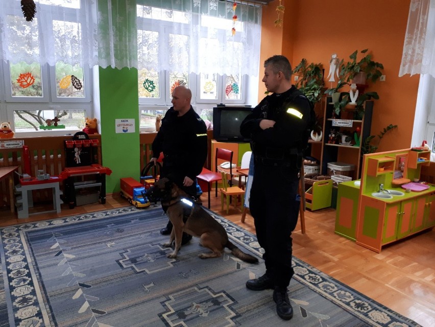 Policyjni przewodnicy z psami przeszkolili przedszkolaki