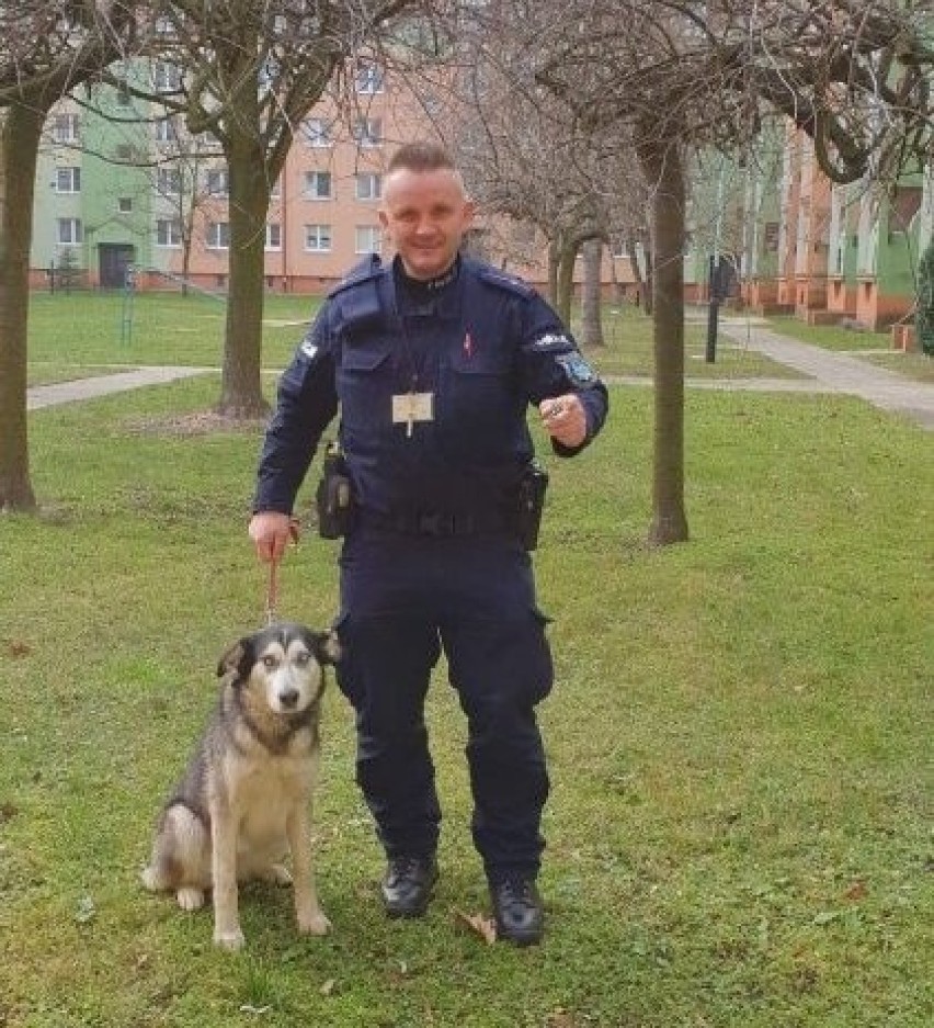 Mieleccy policjanci pomogli pieskom. Trzy bezpańskie czworonogi trafiły do schroniska dla zwierząt w Mielcu 