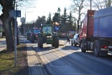 Protest rolników w Kwidzynie. Ciągniki przejechały przez miasto [ZDJĘCIA/VIDEO]