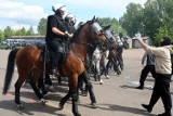 "Zadyma" na niby, czyli atestacja policyjnych koni w Łodzi [ZDJĘCIA+FILM]