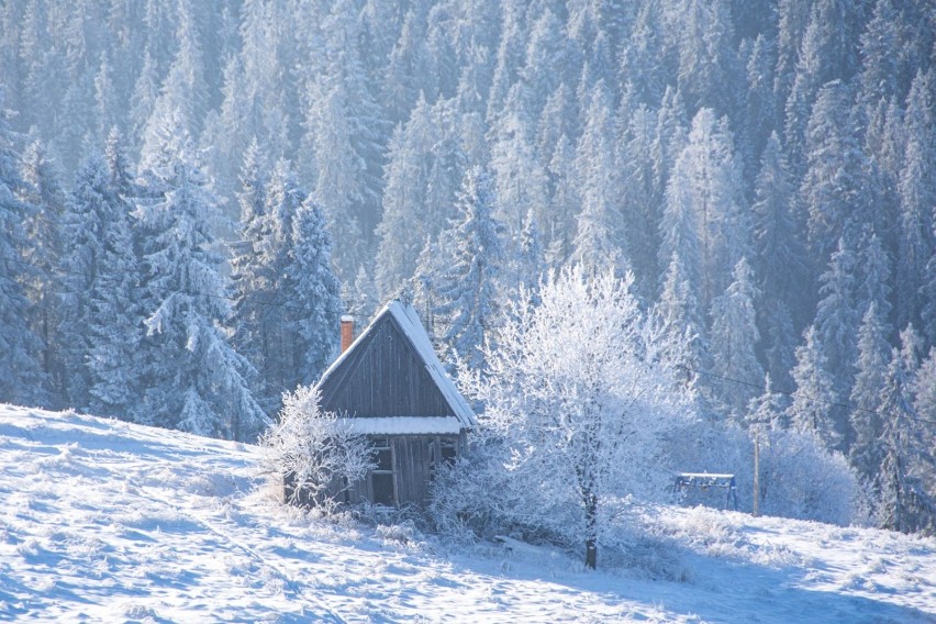 Bajkowa zima w Zakopanem i na Podhalu. Pod Tatrami jest wyjątkowo pięknie. Zobaczcie zdjęcia! 11.12.2021