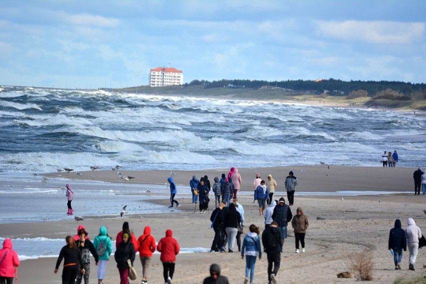 Zachęcają do spacerów po plażach w gminie Darłowo [ZDJĘCIA]