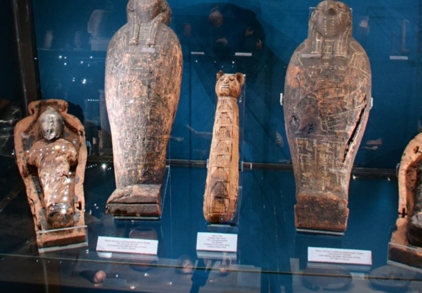 Mumię kota można zobaczyć na wystawie "Bogowie starożytnego...