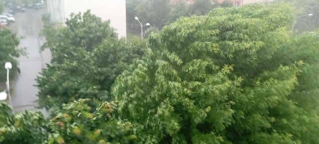 Około godziny 8 rano nad Jędrzejowem przeszła burza z silnymi opadami deszczu oraz gradu