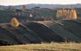 Zwierzyniec. Dziadkowie opowiedzieli ci ciekawą legendę? Ocal ją od zapomnienia