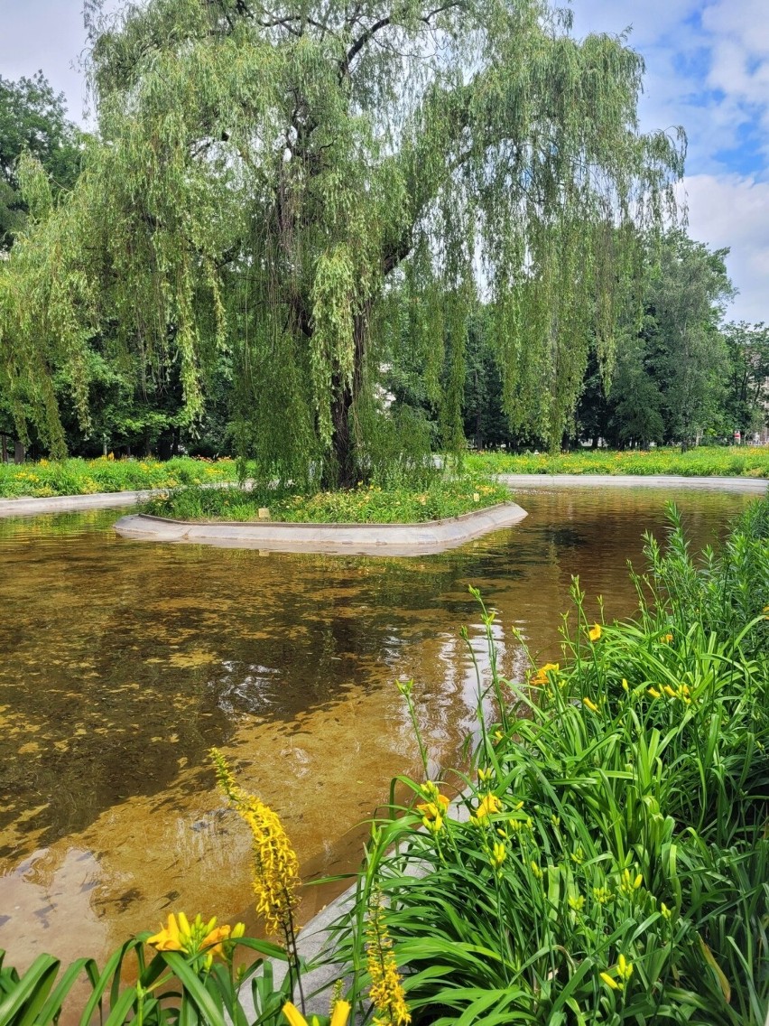 Kraków. Park Krakowski cieszy oko kolorami. Zakwitły w nim kwiaty. To doskonałe miejsce na spacer