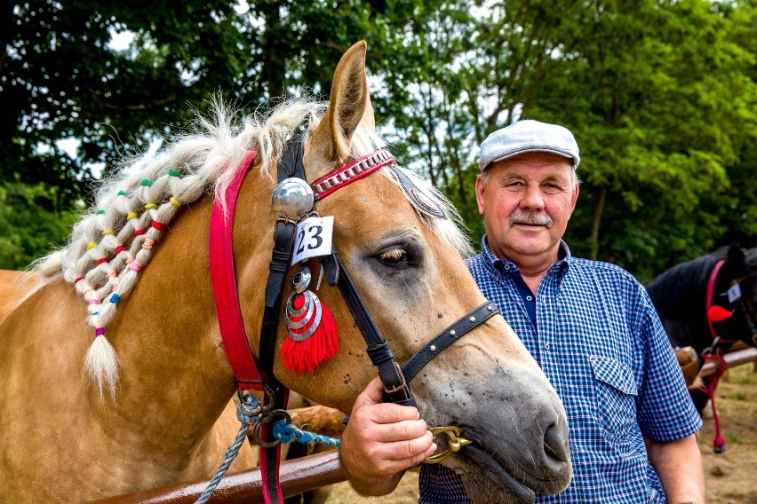 Dzień Konia 2018 na Podlasiu [zdjęcia]            