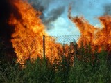 Września: Wypalanie traw nadal groźne [ZDJĘCIA]