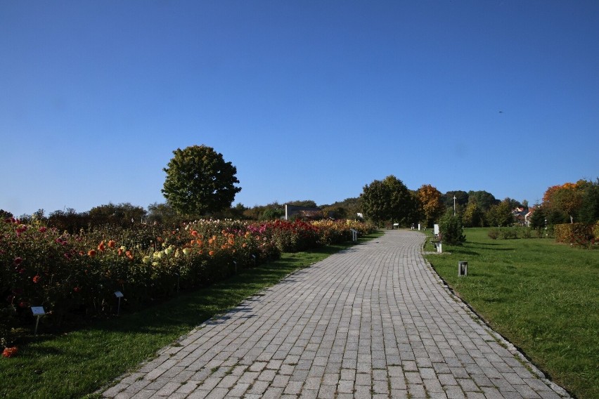 Jesienny piknik w Ogrodzie Botanicznym w Kielcach. Ognisko i inne atrakcje 22 października  