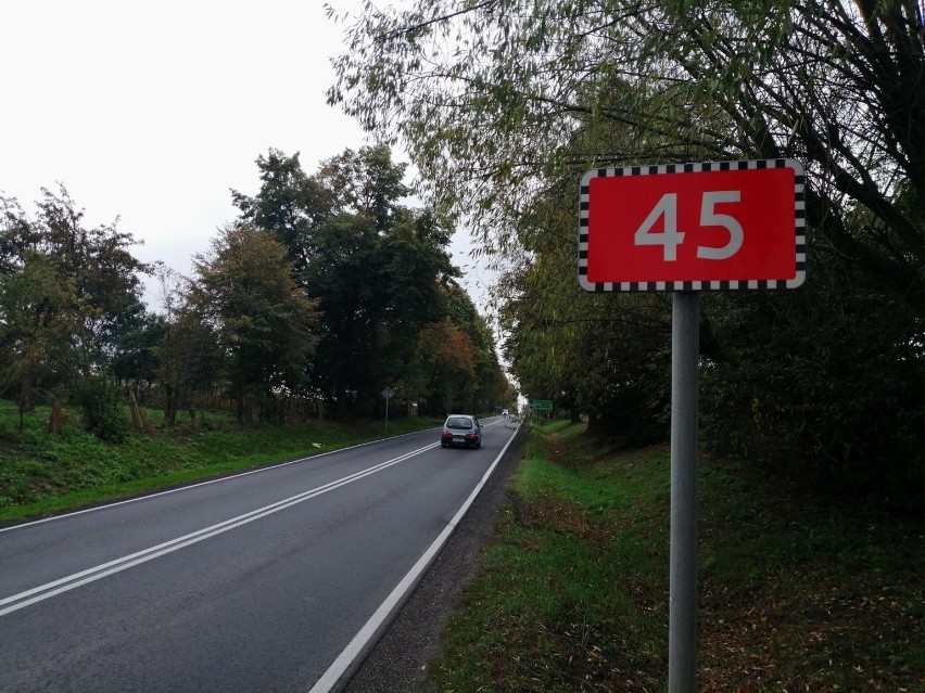Trzy oferty na budowę szlaku dla pieszych i rowerzystów przy drodze Wieluń-Gaszyn