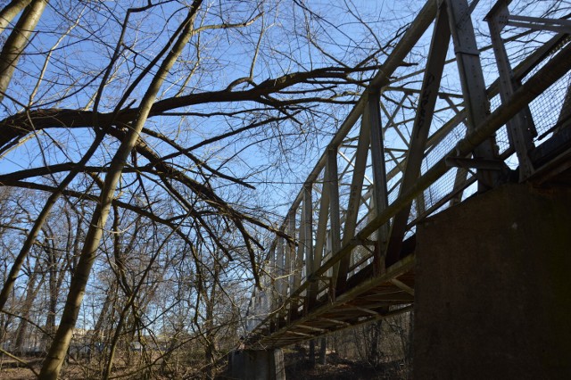 Uszkodzony most Kolejarzy w Żagańskim parku. Leży na nim kolejne drzewo