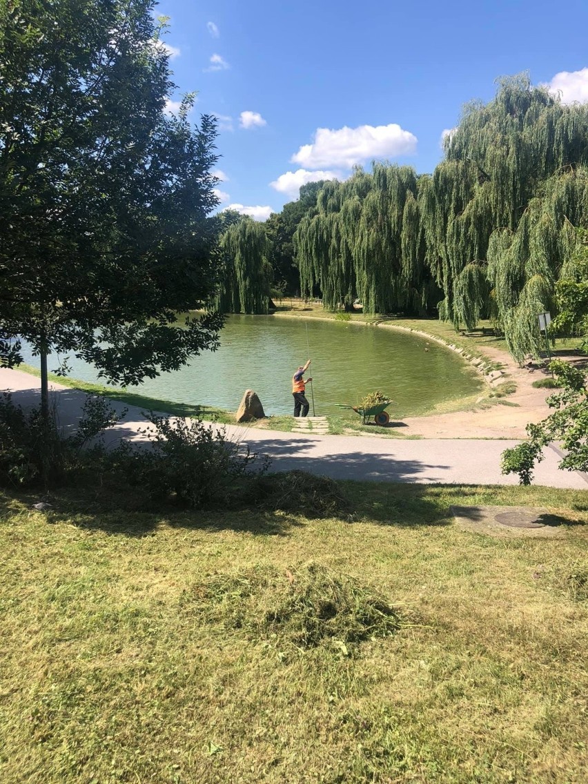 Nie uwierzycie co ludzie wrzucają do stawu w parku miejskim w Kielcach! Trzeba go sprzątać...codziennie [ZDJĘCIA]