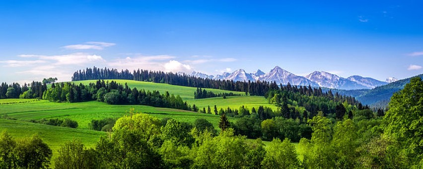 II miejsce w kategorii ogólnej konkursu Wiki Kocha Przyrodę...