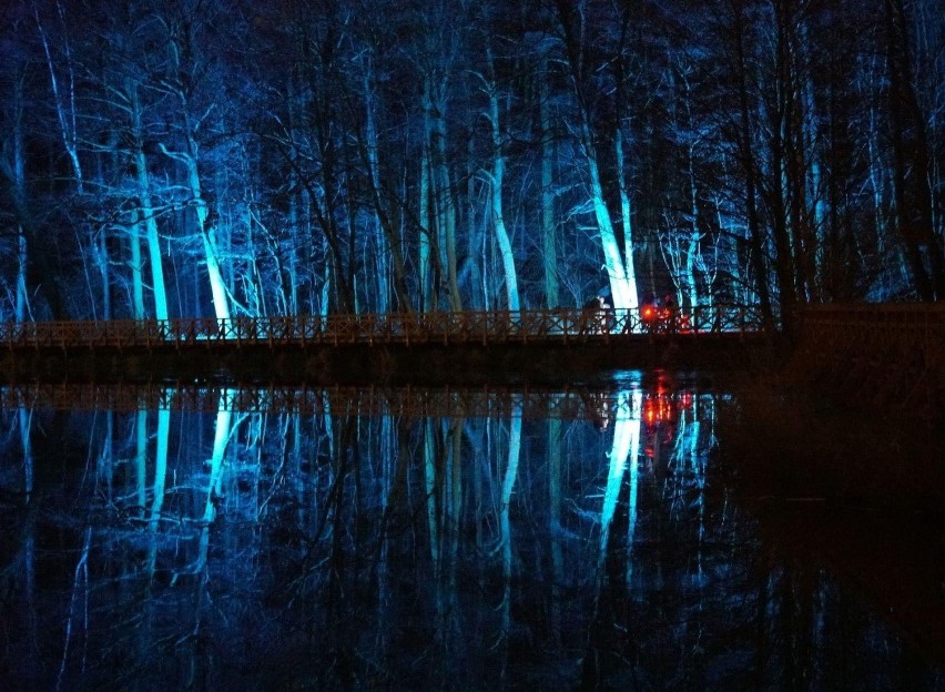 Podświetlenie lasu nad zalewem w Lisowicach. Można je podziwiać codziennie wieczorem