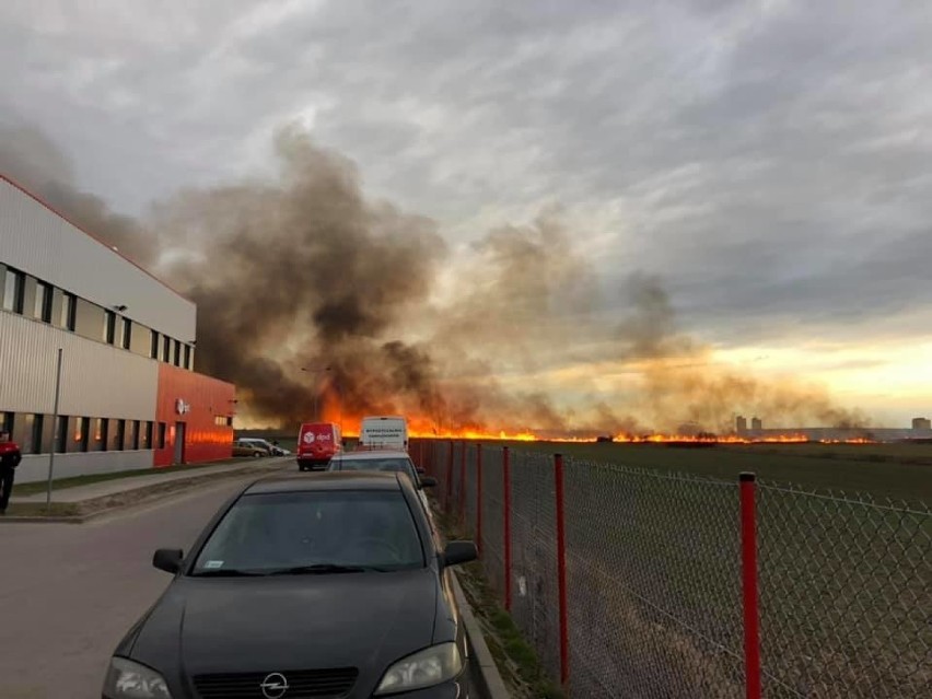 Wrocław. Strażacy kilka godzin walczyli z groźnym pożarem na północy miasta (ZOBACZ ZDJĘCIA)