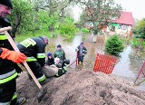 Jak chronić Żuławy przed cofką? Najpierw powstanie mapa ryzyka powodziowego