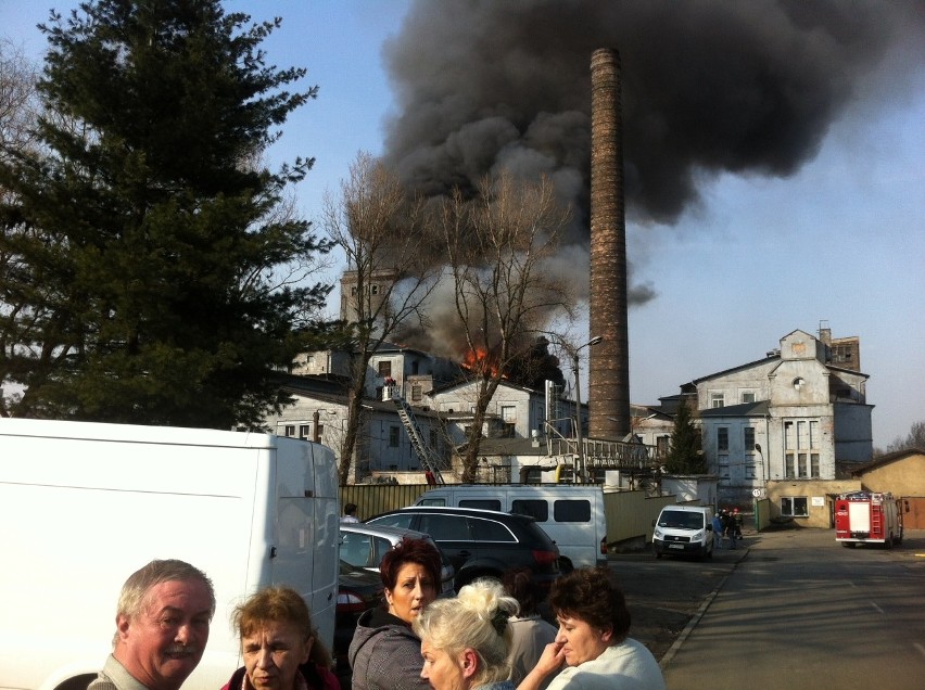 Pożar Porcelany Śląskiej. Ogień strawił halę [ZDJĘCIA i WIDEO]