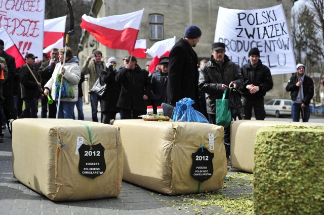 Protestujący przywieźli ze sobą do Brzeska swój chmiel