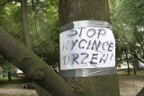 Łódź: sąd apelacyjny też broni drzew