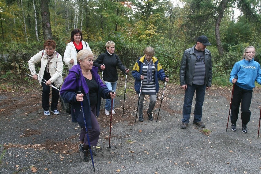 Maraton Nordic Walking w Rudzie Śląskiej [ZDJĘCIA]