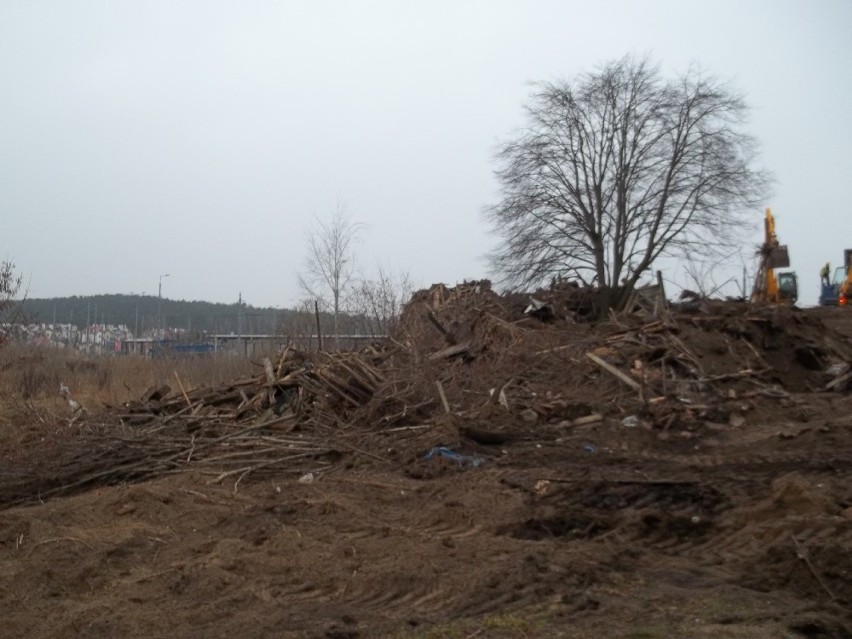Gdańsk: Buldożery poraniły koty w miejscu byłej lisiarni na Oruni [ZDJĘCIA]