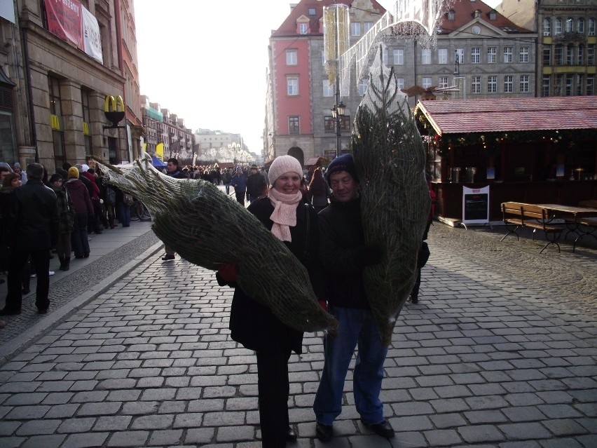 Wrocław: Kolejka po choinki na Rynku