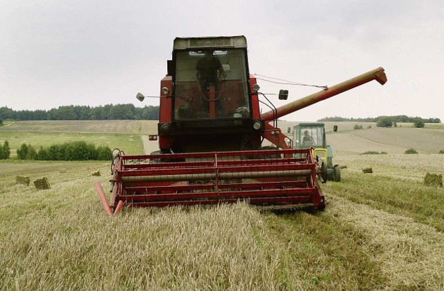 Rolnicy obawiają się już o przyszłoroczne zbiory zbóż