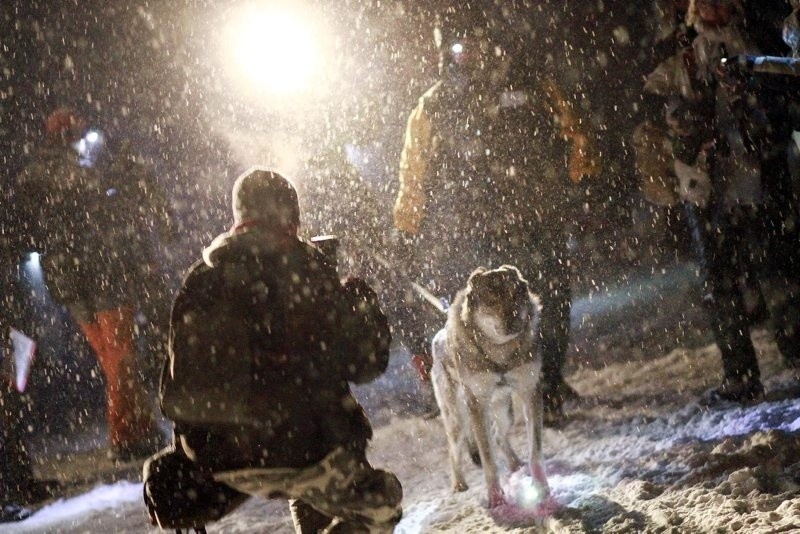 W Jakuszycach od piątku ścigają się maszerzy i psie zaprzęgi