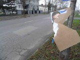 W Częstochowie mimo ciszy trwa wojna plakatowa