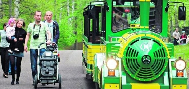 Na najmłodszych  w niedzielę czeka w poznańskim zoo wiele atrakcji i mnóstwo zabawy. W zorganizowanych konkursach będzie można wygrać nagrody