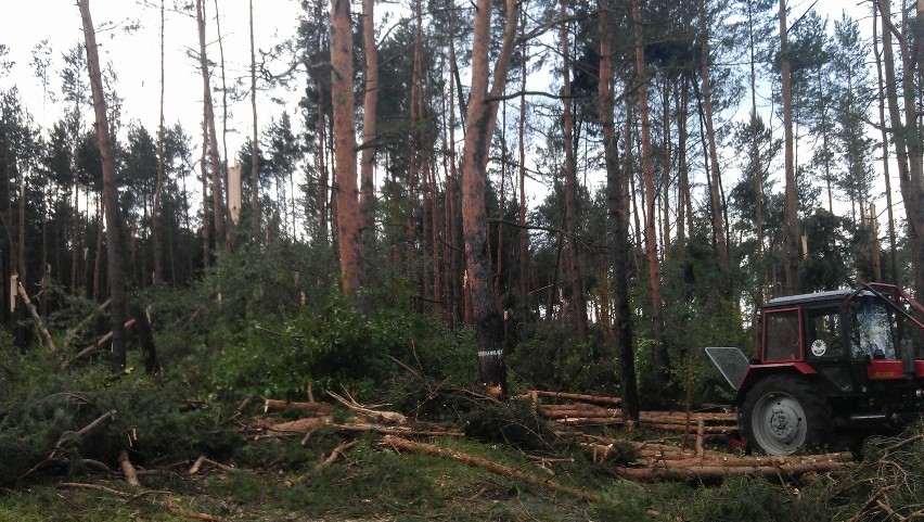 Wichura nad powiatem olkuskim. Zerwane dachy, drzewa na drogach [ZDJĘCIA]