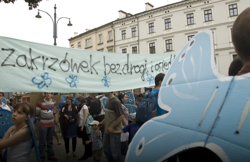 "Modraszek Kolektyw" bronił Zakrzówka przed Urzędem Miasta...