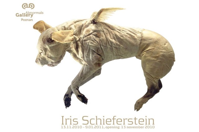 Iris Schieferstein wykorzystuje w swych pracach spreparowane zwłoki zwierząt