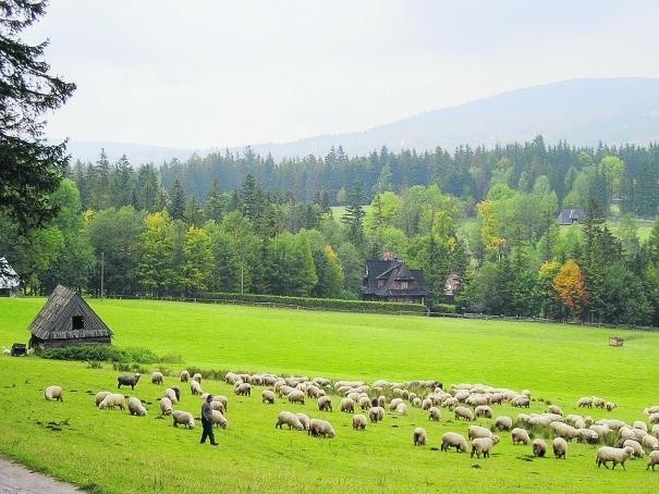 Radni obawiają się, że gdy uchylą uchwałę o parku, na...