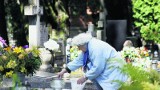 W Częstochowie rosną ceny za miejsce na cmentarzu