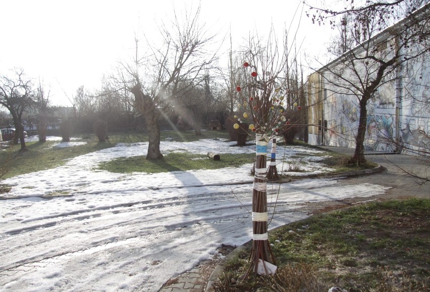 Z tyłu budynku powstanie minipark z placem zabaw