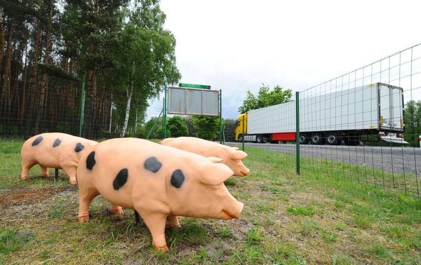 Handlarze ze &quot;starej&quot; drogi nr 2 znów żyją nadzieją [ZDJĘCIA]