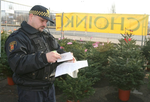 Za kradzież choinki o wartości do 250 zł grozi 500 zł grzywny