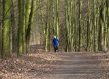 Państwo jak złodziej. Zabrało prywatny las i nie chce oddać 