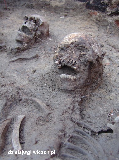 Odkrycie na starówce w Gliwicach. Kości leżały pół metra pod ziemią [ZDJĘCIA, WIDEO]