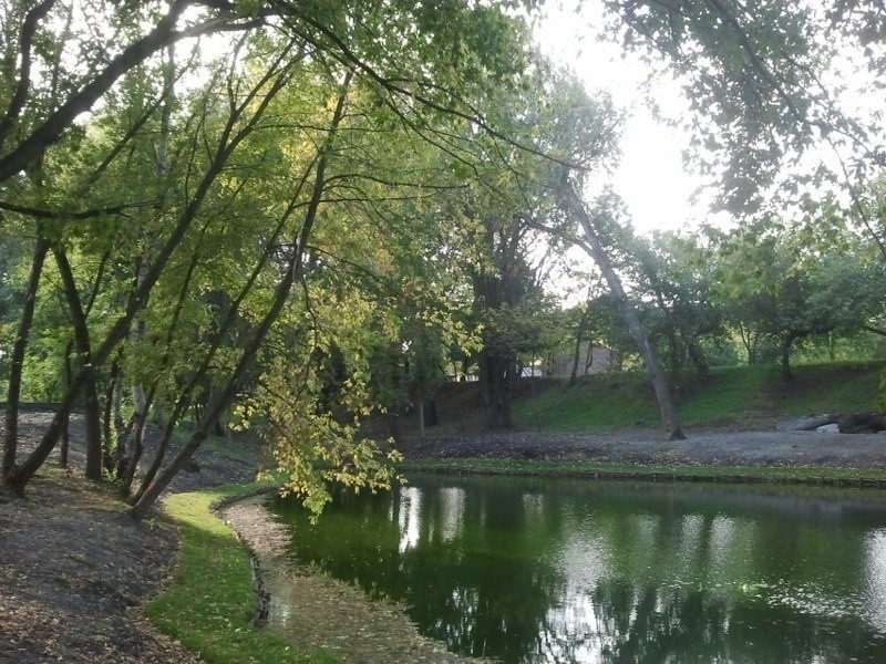 Park Nadolnik.