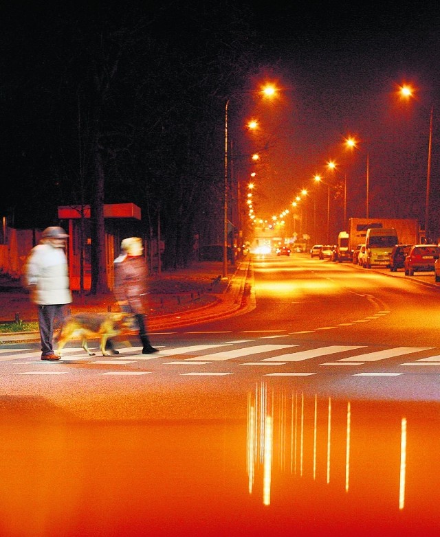 W tym roku oświetlenie pojawi się na 16 przejściach dla pieszych