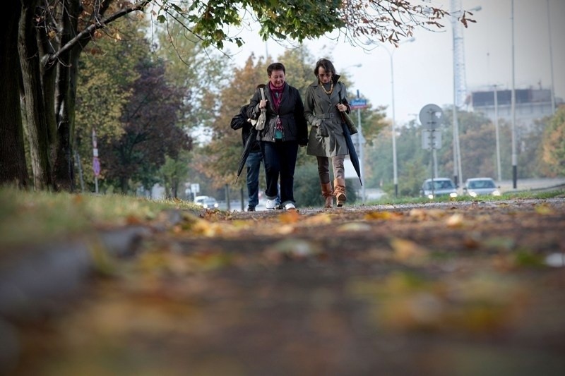 Mieszkańcy narzekają na zalegające liście [ZDJĘCIA]