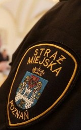 Poznań: Strażnik miejski przeprasza za wulgarną wiadomość, ale...