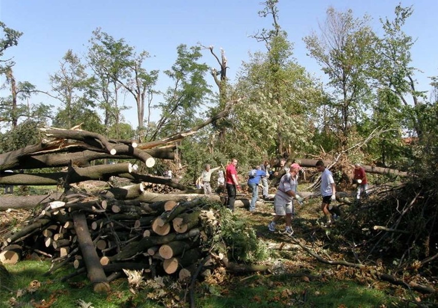 Legnica: 800 osób sprzątało park (ZDJĘCIA)