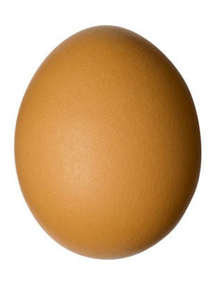 Sprzedawany przez oszusta susz jajeczny zawierał w rzeczywistości śladowe ilości jaj. To susz rybny z dodatkiem wapnia.