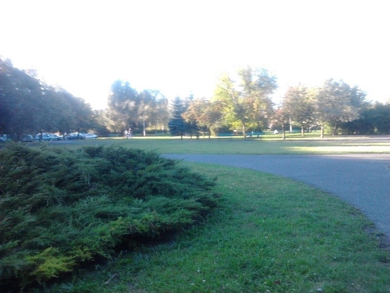 Park im. Władysława Czarneckiego na os. Przyjaźni