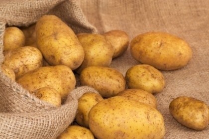 ziemniaki – kartofle – pyry